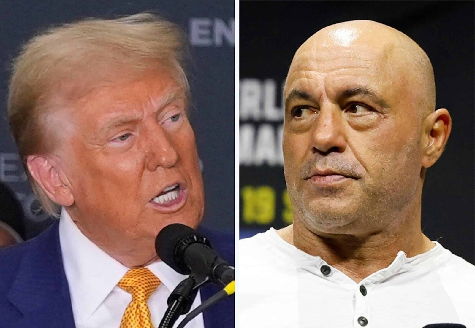 Trump reacts to Joe Rogan's warning about becoming 'monsters' about deportations, without due process